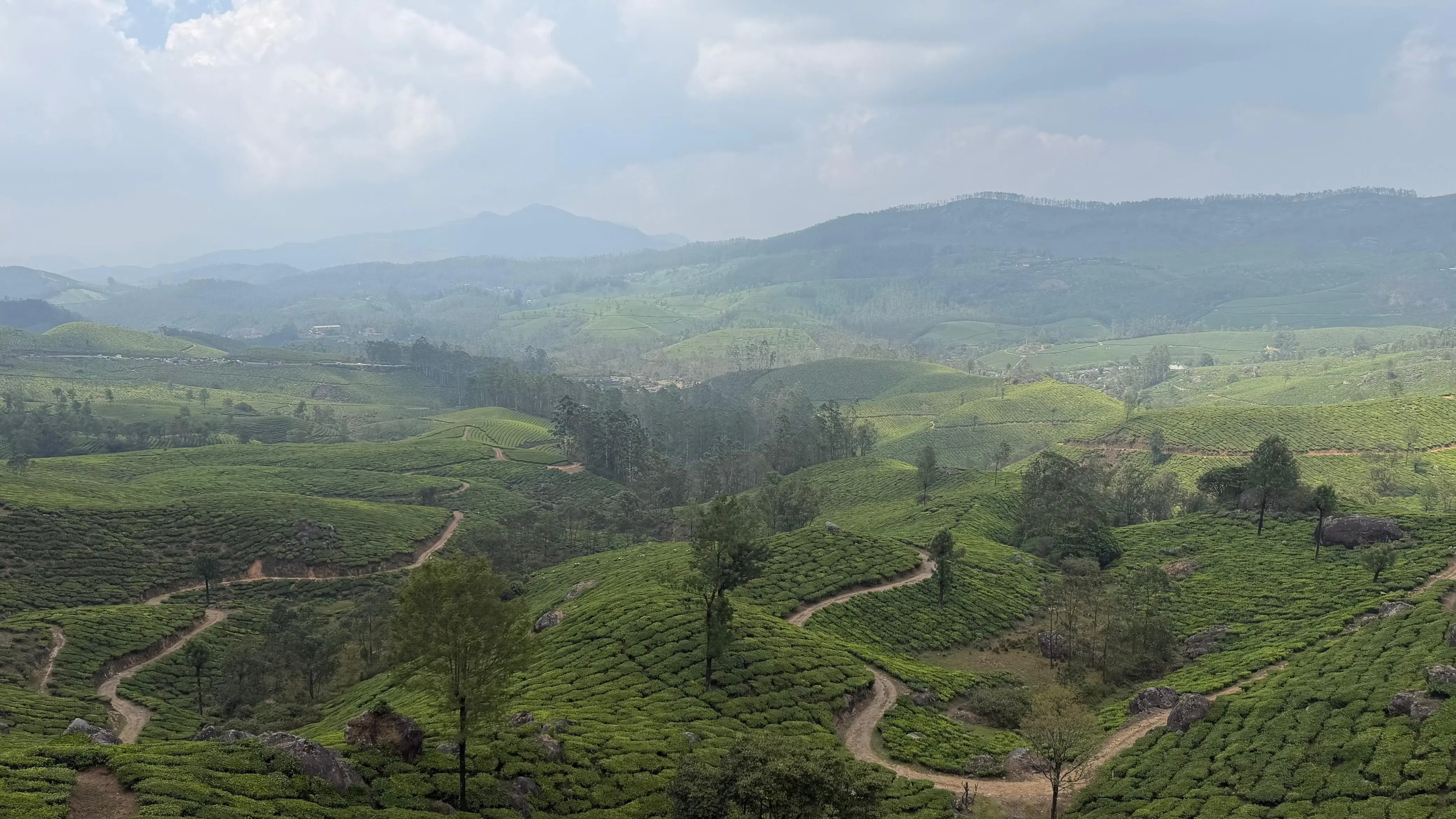 Thattekad & Munnar High-Altitude Expedition